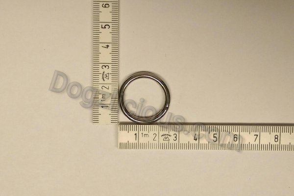 O - Ring  (ES)  20x3mm Edelstahl geschweißt